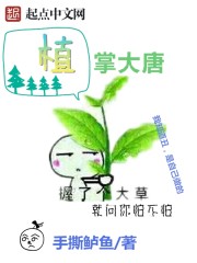 女神的鱼新书